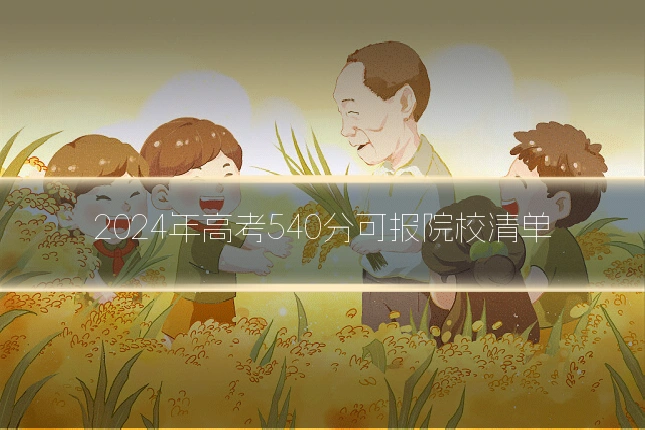 2024年高考540分可报院校清单