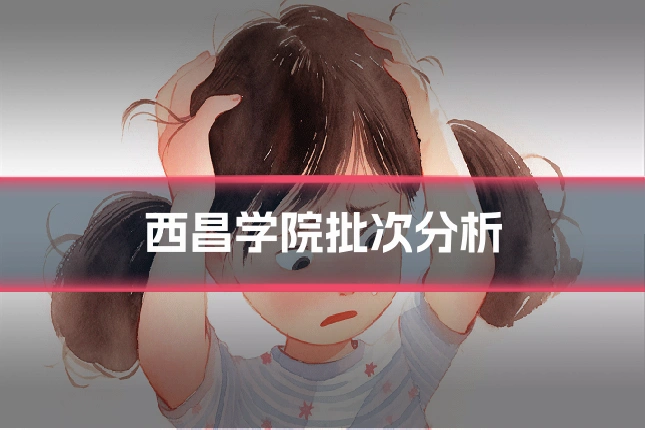 西昌学院批次分析