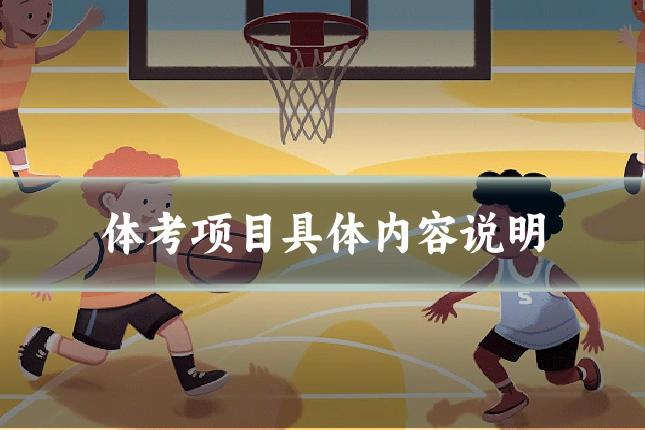 体考项目具体内容说明