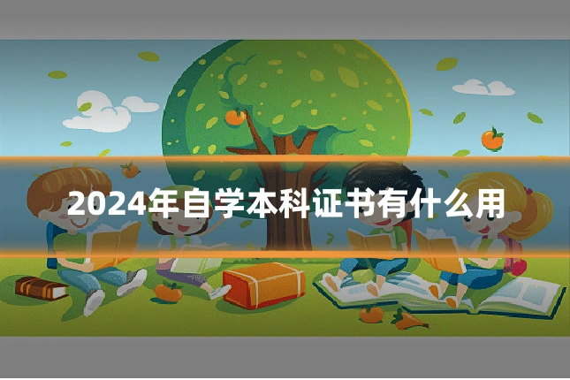 2024年自学本科证书有什么用