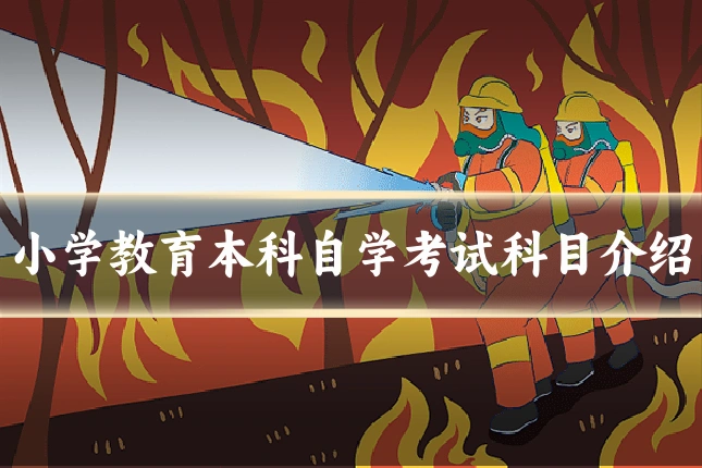 小学教育本科自学考试科目介绍
