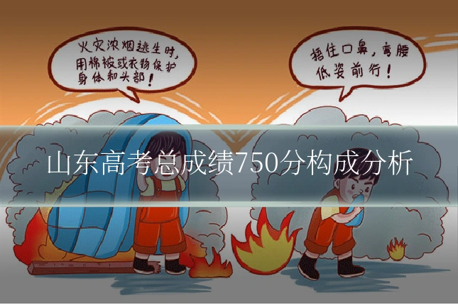 山东高考总成绩750分构成分析