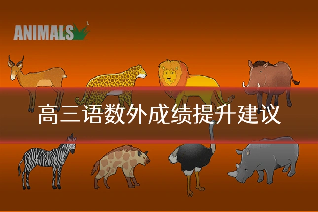 高三语数外成绩提升建议