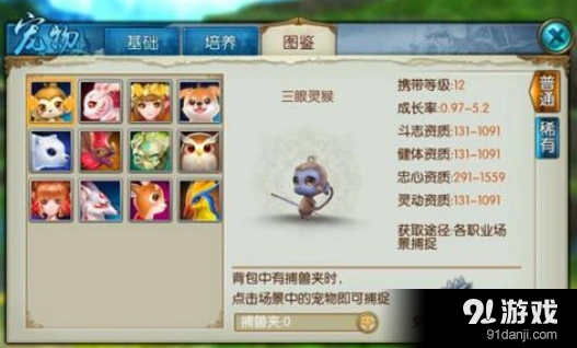 诛仙手游宠物飞升指南