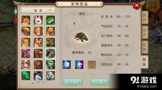 问道宠物天书搭配技巧分享
