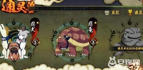 《火影忍者》通灵兽升星完整教程