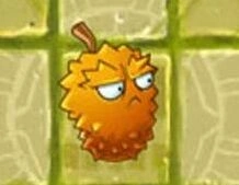 《植物大战僵尸2》十二月份签到植物预览