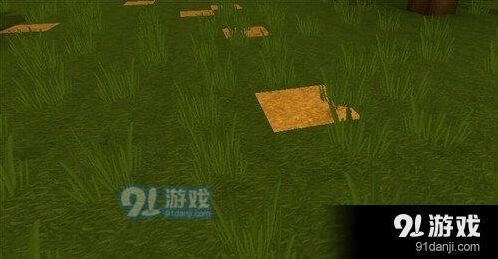 迷你世界快速除草方法 一桶水搞定