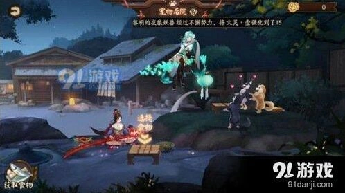 阴阳师宠物粮食获取途径 新手必看指南