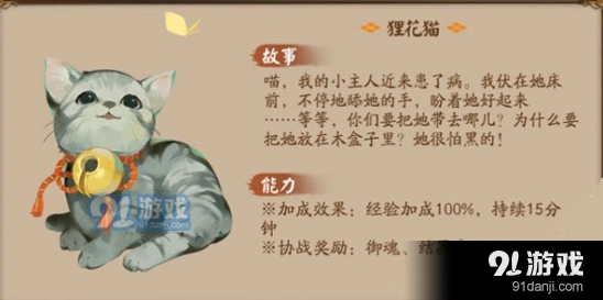阴阳师狸花猫怎么获得 狸花猫获取攻略