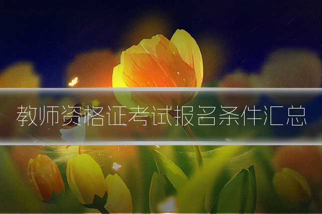 教师资格证考试报名条件汇总