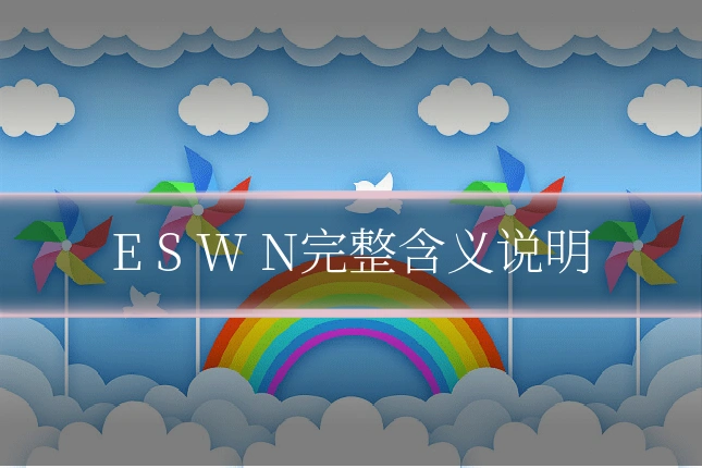 E S W N完整含义说明