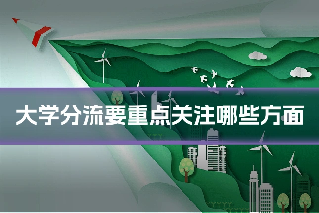 大学分流要重点关注哪些方面