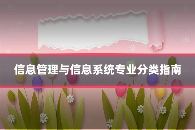 信息管理与信息系统专业分类指南