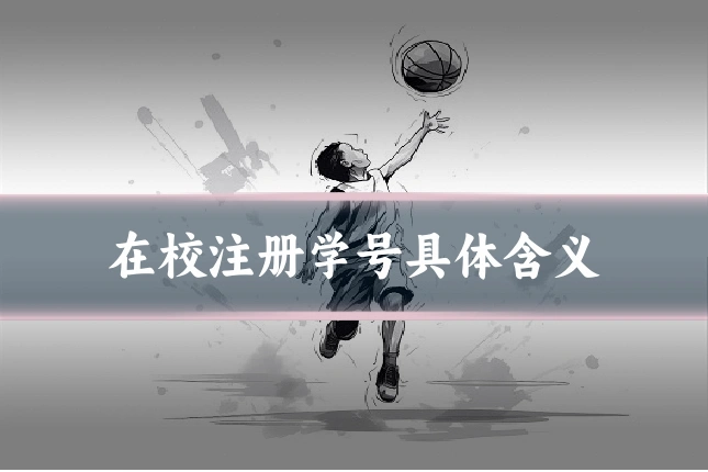 在校注册学号具体含义