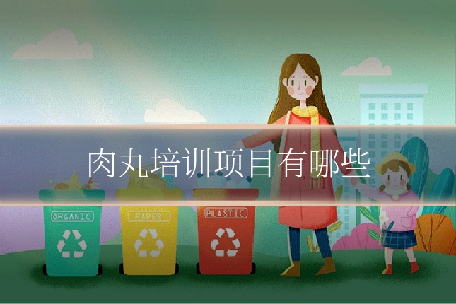 肉丸培训项目有哪些