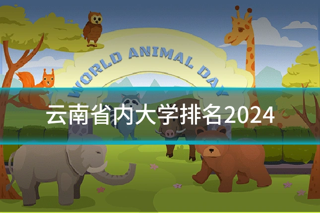 云南省内大学排名2024
