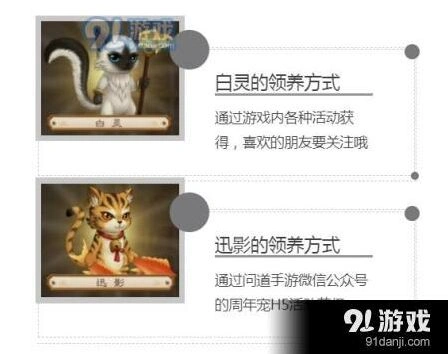 问道手游迅影领养步骤全攻略