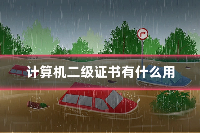 计算机二级证书有什么用