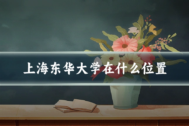 上海东华大学在什么位置