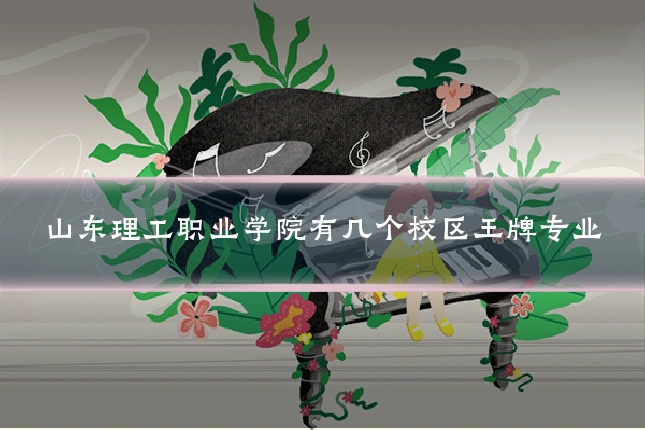 山东理工职业学院有几个校区王牌专业