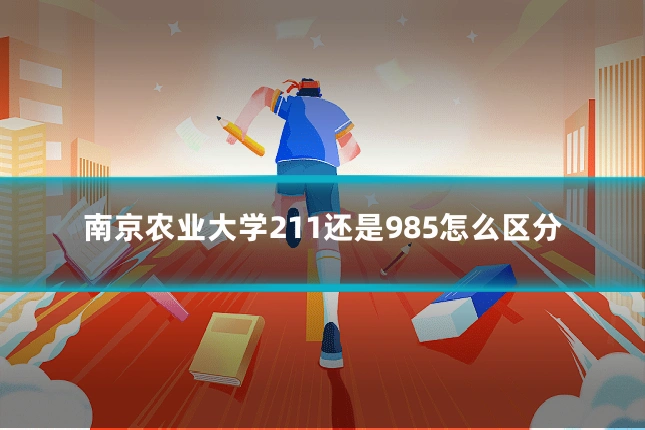 南京农业大学211还是985怎么区分