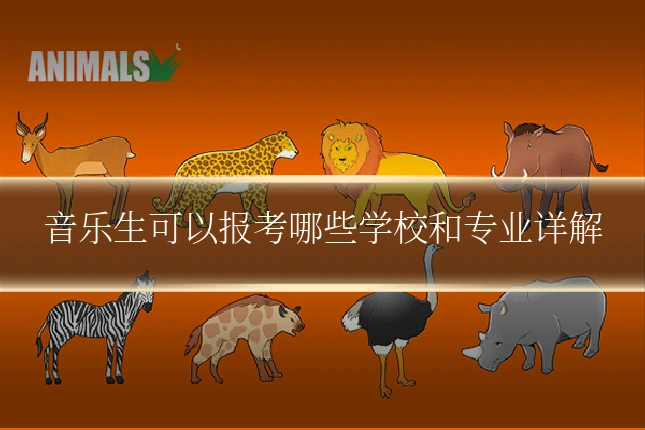 音乐生可以报考哪些学校和专业详解