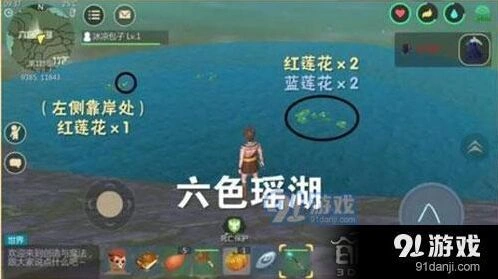 创造与魔法蓝莲花位置介绍
