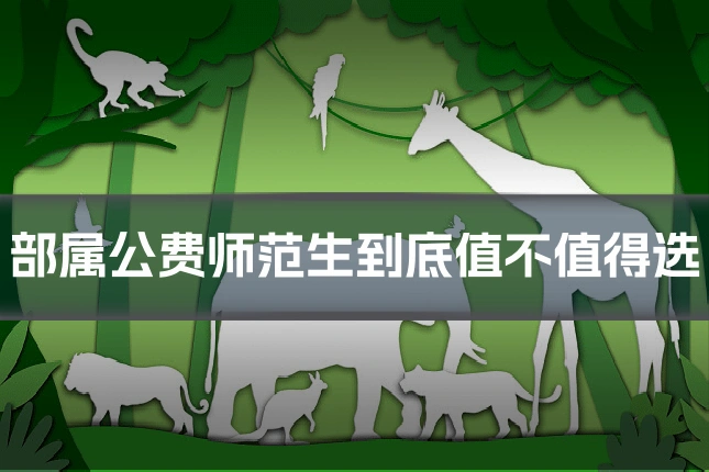 部属公费师范生到底值不值得选