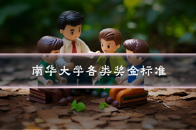 南华大学各类奖金标准