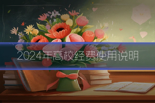 2024年高校经费使用说明