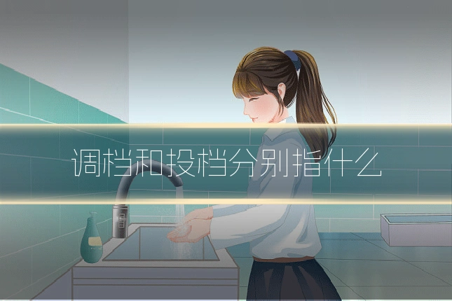 调档和投档分别指什么