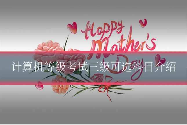 计算机等级考试三级可选科目介绍