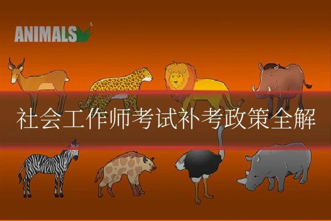 社会工作师考试补考政策全解