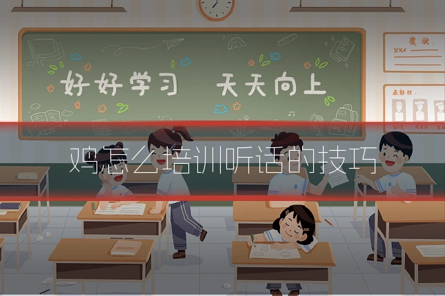 鸡怎么培训听话的技巧