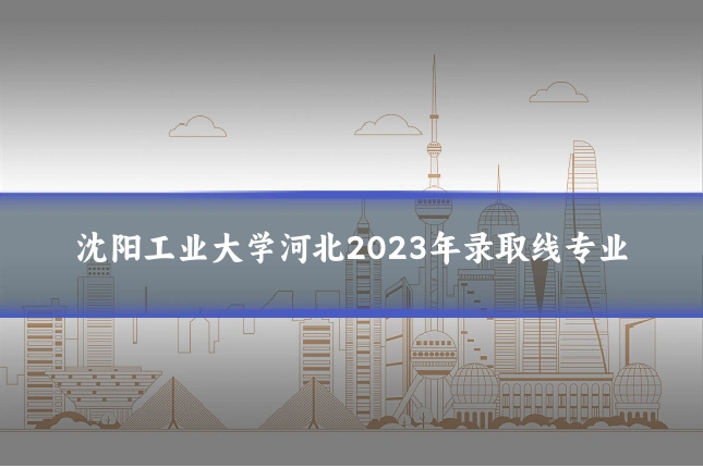 沈阳工业大学河北2023年录取线专业