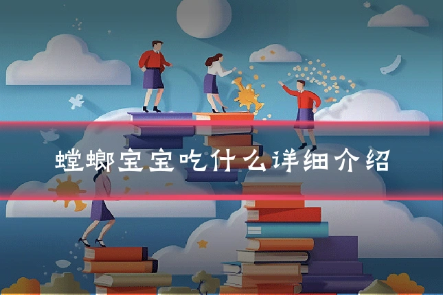 螳螂宝宝吃什么详细介绍