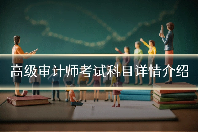高级审计师考试科目详情介绍