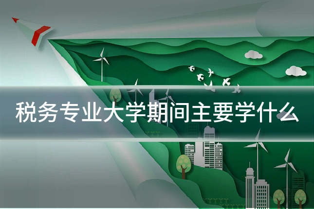 税务专业大学期间主要学什么