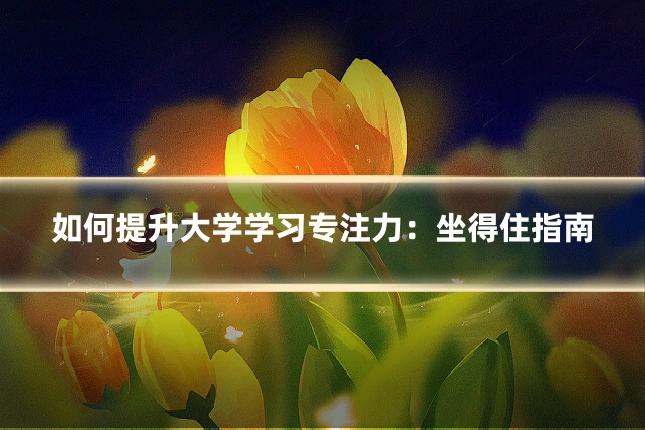 如何提升大学学习专注力:坐得住指南