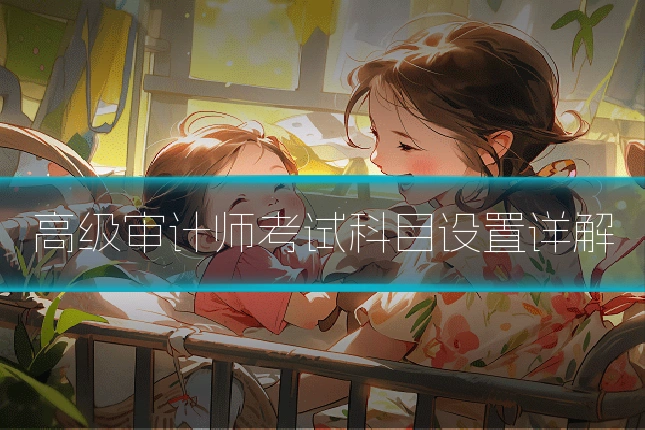 高级审计师考试科目设置详解