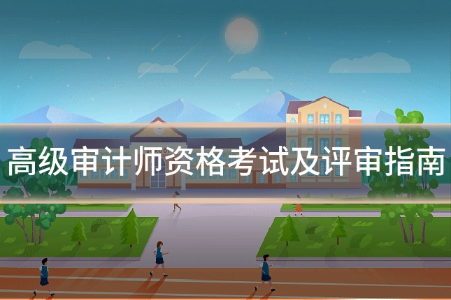 高级审计师资格考试及评审指南