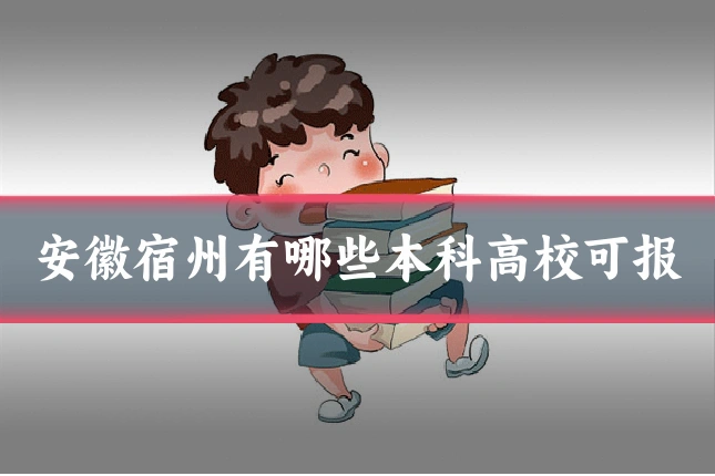 安徽宿州有哪些本科高校可报