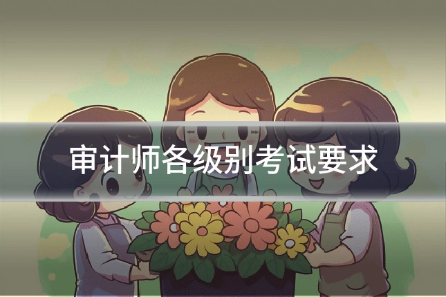 审计师各级别考试要求