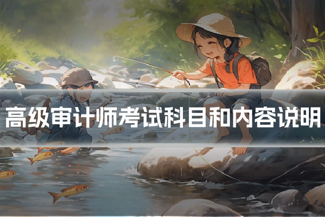 高级审计师考试科目和内容说明