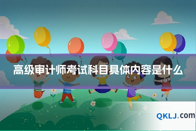高级审计师考试科目具体内容是什么