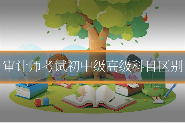 审计师考试初中级高级科目区别