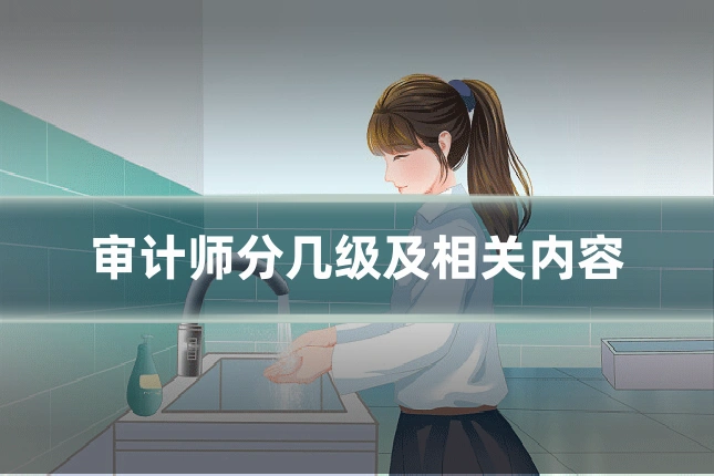 审计师分几级及相关内容