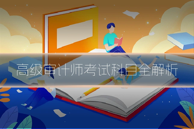高级审计师考试科目全解析