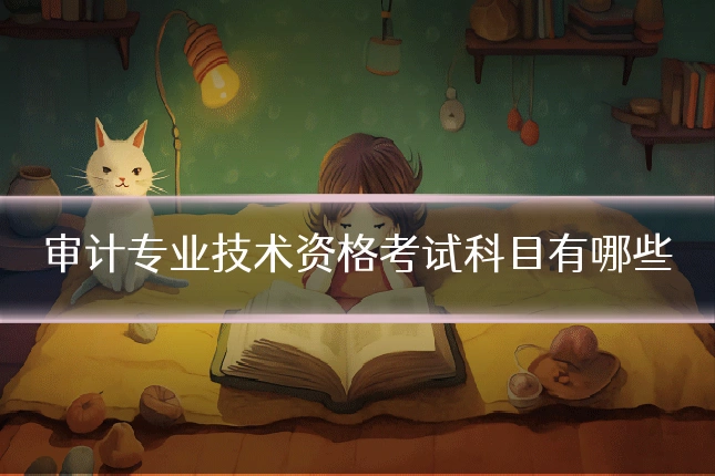 审计专业技术资格考试科目有哪些